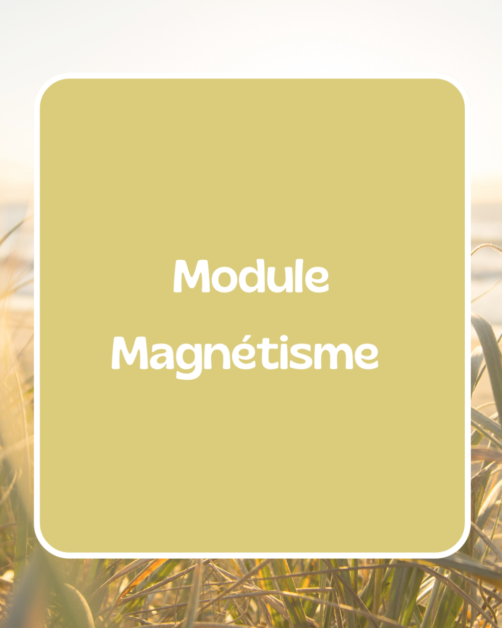 Formation - Module magnétisme - énergéticienne à Bordeaux