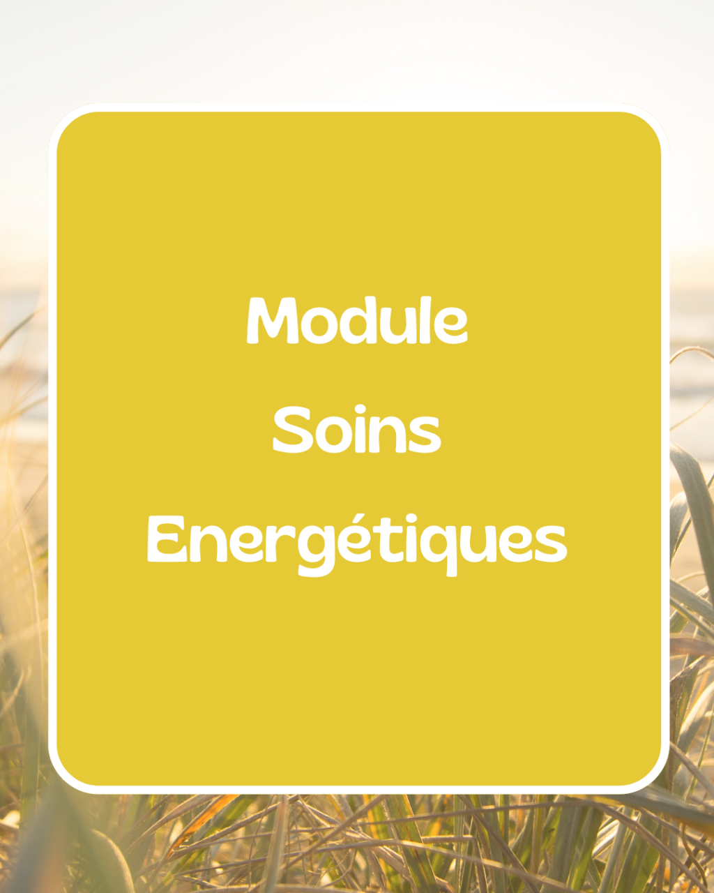 Formation - Module soins énergétiques - énergéticienne à Bordeaux